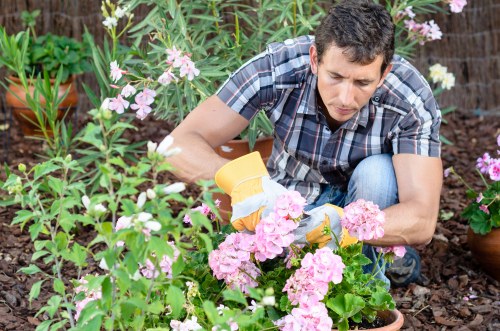Measuring cubic yards of garden waste for removal