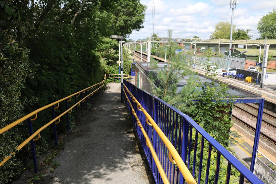 A narrow, paved walkway with a yellow and blue metal railing runs alongside dense green shrubbery and trees on the left, providing a shaded area with dappled sunlight. To the right, it overlooks the r